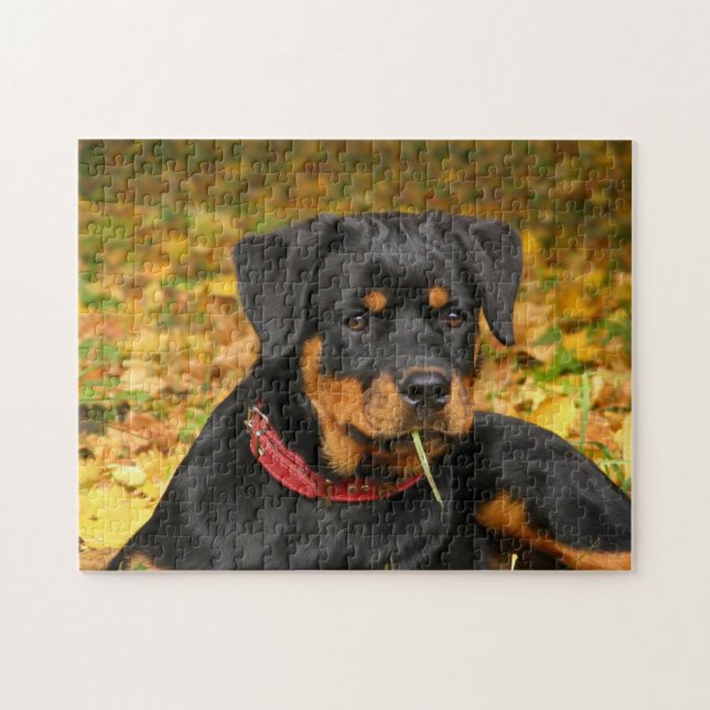 Rottweiler Pup Lying On The Ground In Forest Jigsaw Puzzle (Horizontal)