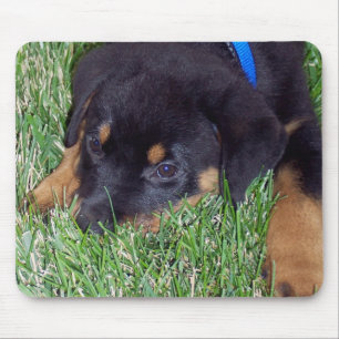 rottweiler pup. mouse pad