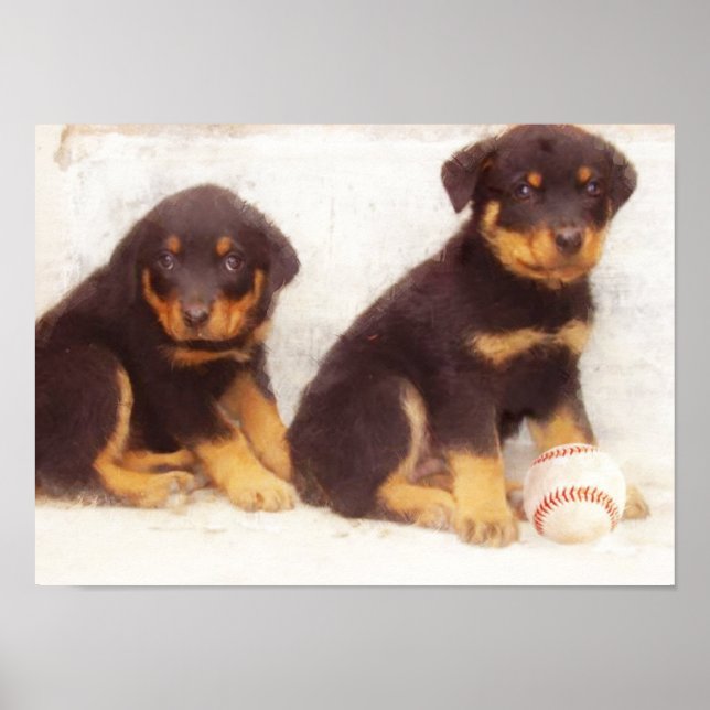 Rottweiler puppies poster (Front)