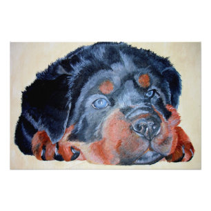 Rottweiler Puppy Artistic Pet Portrait Photo Print