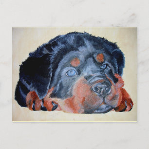 Rottweiler Puppy Artistic Pet Portrait Postcard