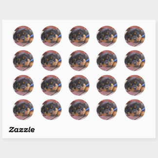 Rottweiler Puppy Classic Round Sticker