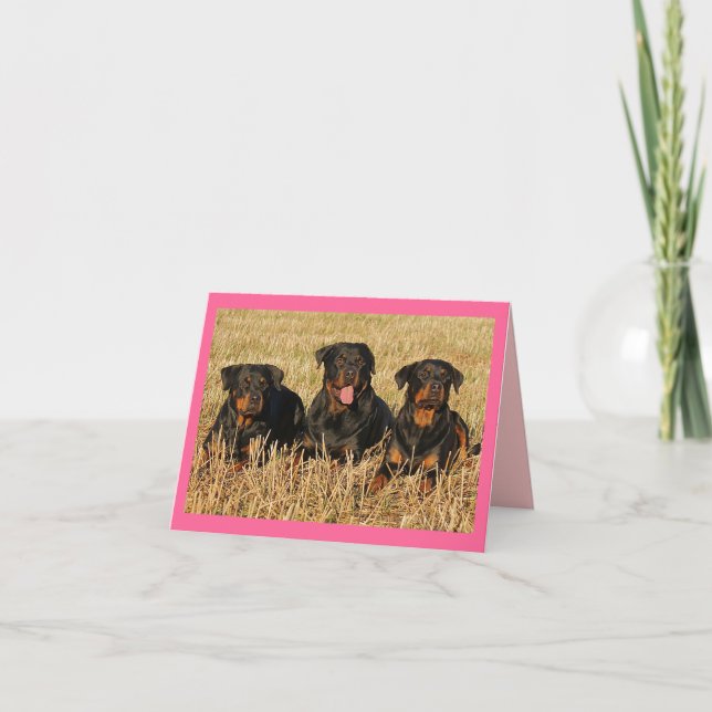Rottweiler Puppy Dog Pink Blank Note Card (Front)