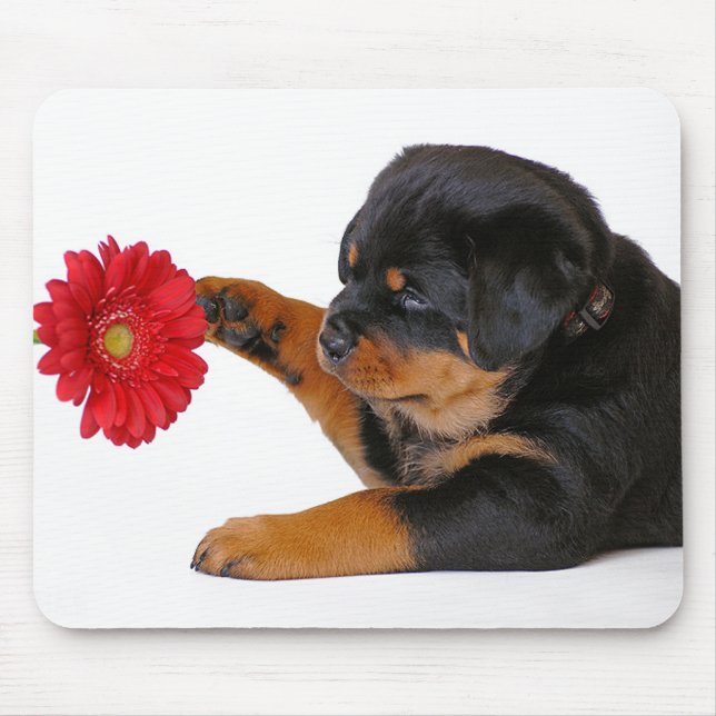 Rottweiler  Puppy Dog with Gerbera Daisy  Mousepad (Front)