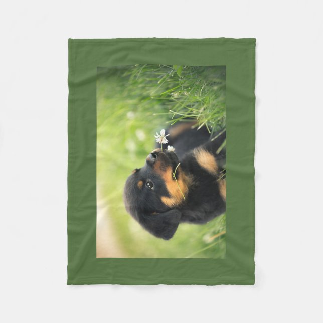 Rottweiler Puppy Fleece Blanket (Front)