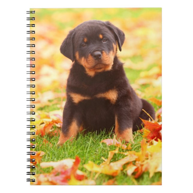 Rottweiler Puppy Sitting In Autumn Leaves Spiral Notebook (Front)