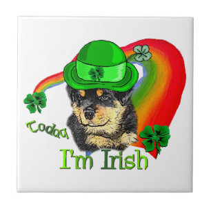Rottweiler Puppy St Pattys Tile