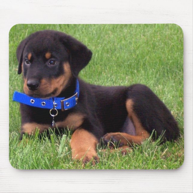 rottweiler pups. mouse pad (Front)