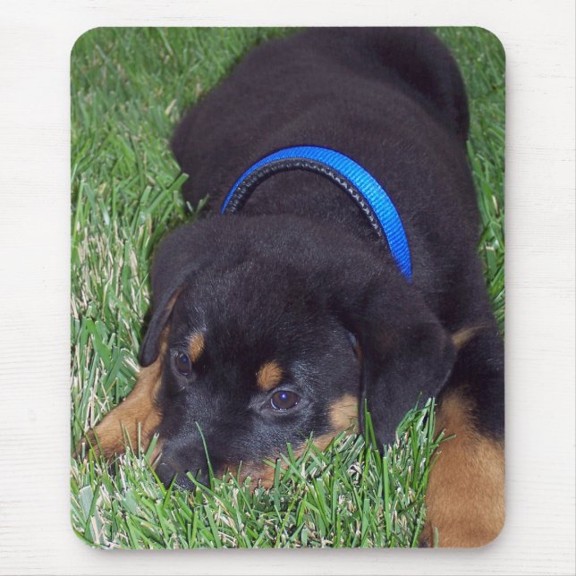 rottweiler pus. mouse pad (Front)