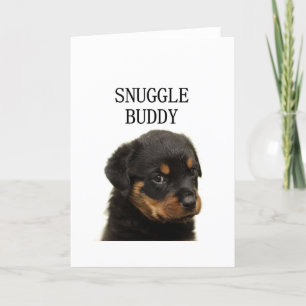 rottweiler snuggle buddy puppy holiday card