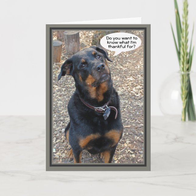 Rottweiler Thankful for You Thanksgiving Card (Front)