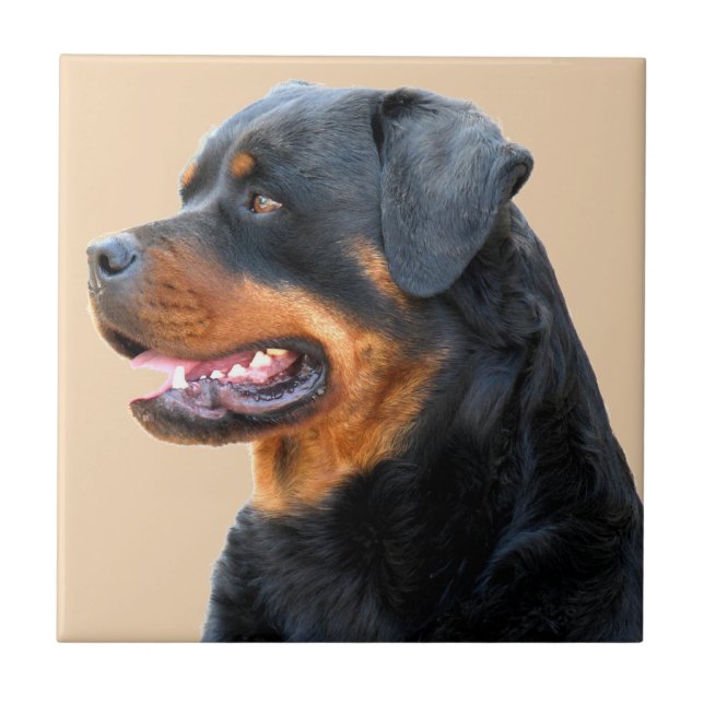 Rottweiler Tile (Front)