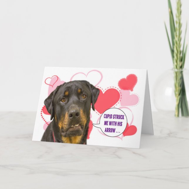 Rottweiler Valentine's Day Card (Front)