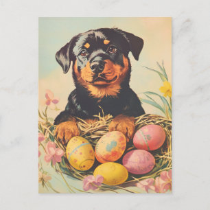 Rottweiler Vintage Easter Postcard