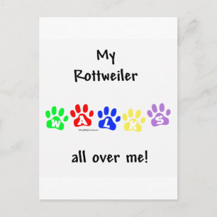 Rottweiler Walks All Over Me Postcard