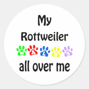 Rottweiler Walks Design Classic Round Sticker