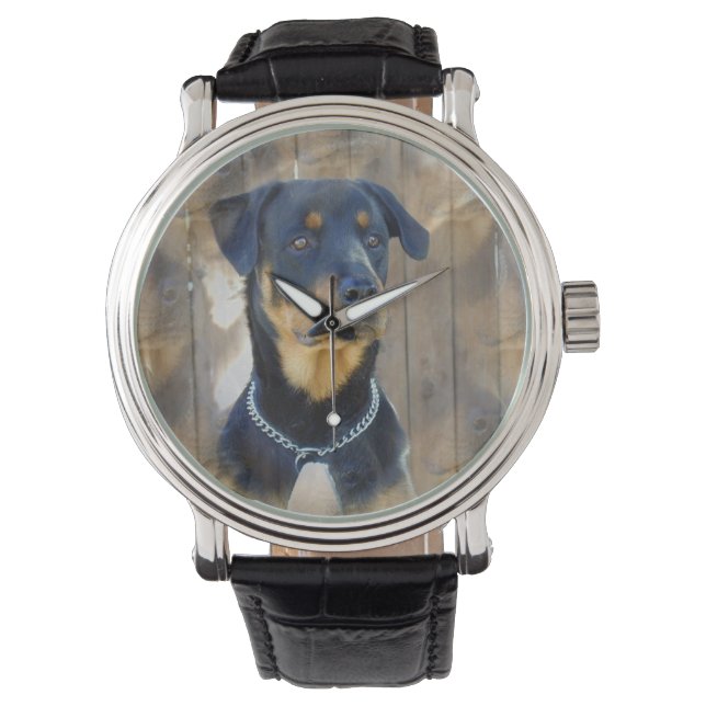 Rottweiler Watch (Front)