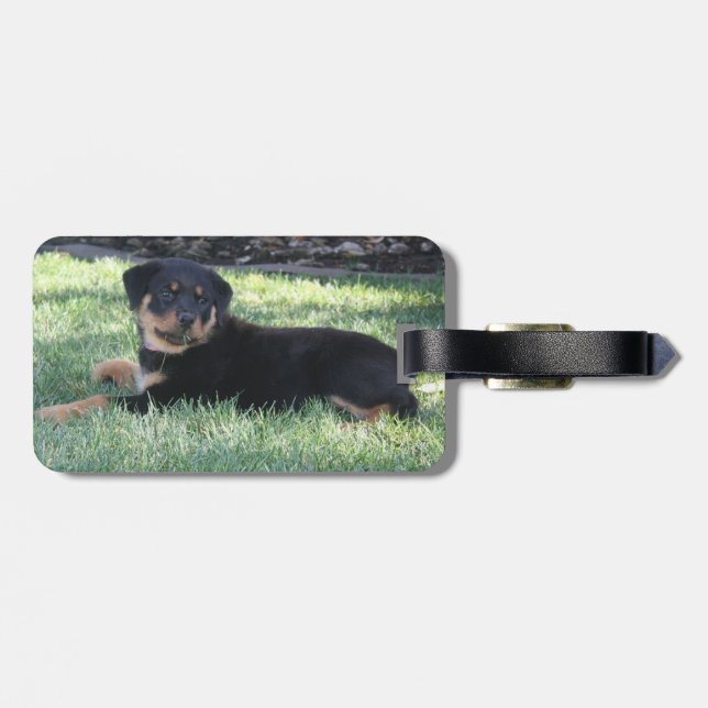 Rottweiller Luggage Tag (Back Horizontal)