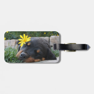 Rottweiller Luggage Tag