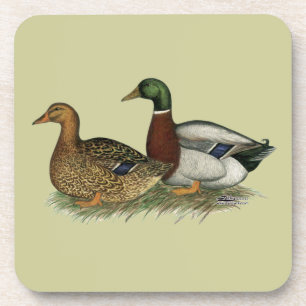 Rouen Ducks Coaster