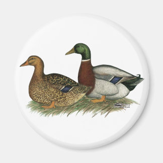 Rouen Ducks Magnet