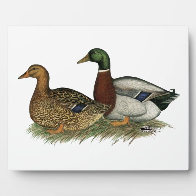 Rouen Ducks Plaque (Front)