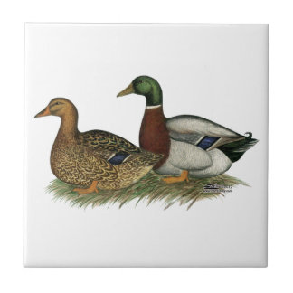 Rouen Ducks Tile