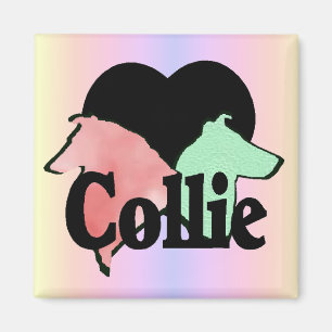 Rough and Smooth Collie Gifts Magnet