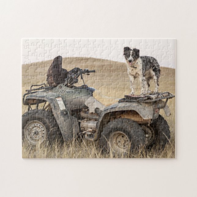 Rough and Tumble ATV Dog Photo Jigsaw Puzzle (Horizontal)