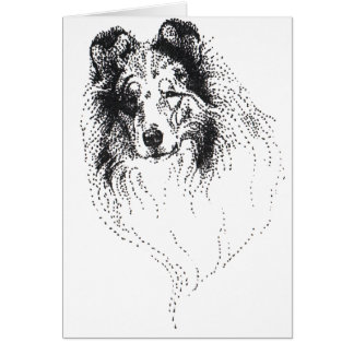 Rough Blue Merle Collie
