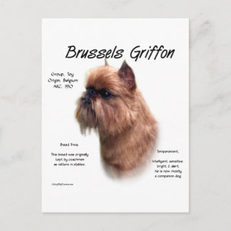 Rough Brussels Griffon History Postcard