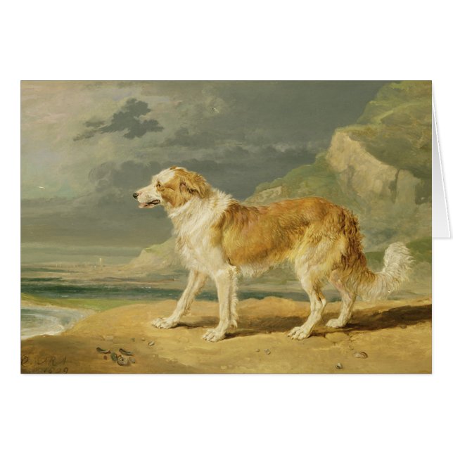 Rough-coated Collie, 1809 (oil on board) (Front Horizontal)