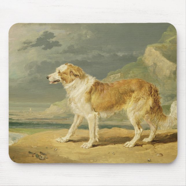 Rough-coated Collie, 1809 (oil on board) Mouse Pad (Front)