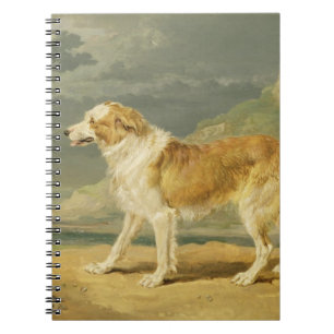 Rough-coated Collie, 1809 (oil on board) Spiral Notebook