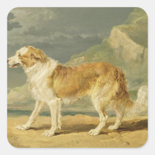 Rough-coated Collie, 1809 (oil on board) Square Sticker