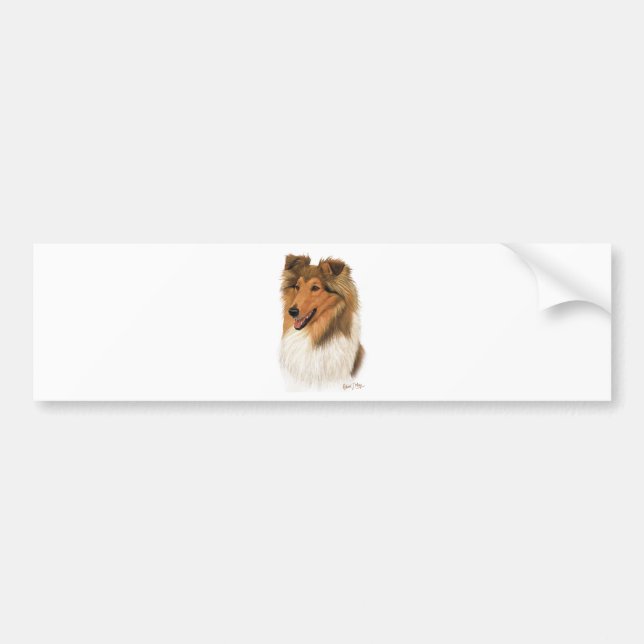 Rough Collie Bumper Sticker (Front)