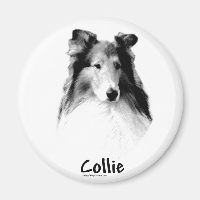 Rough Collie Charcoal Magnet (Front)