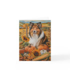Rough Collie Dog Autumn Harvest Thanksgiving