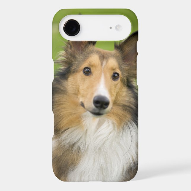 Rough Collie, dog Case-Mate iPhone Case (Back)
