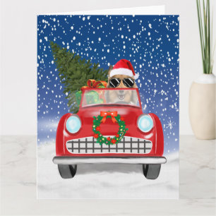 Rough Collie Dog Driving Car In Snow Christmas Card