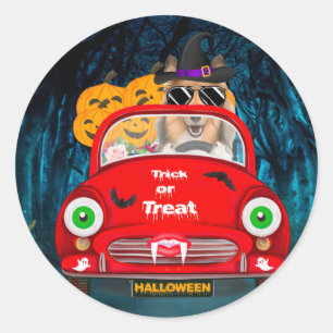 Rough Collie Dog Driving Car Scary Halloween Classic Round Sticker