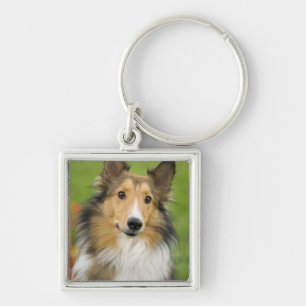 Rough Collie, dog Key Ring