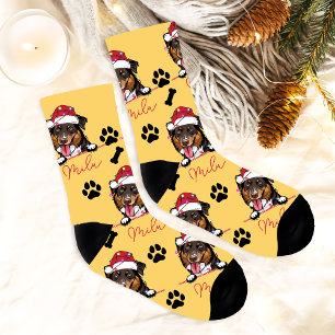 Rough Collie Dog Personalised Christmas Gift Socks