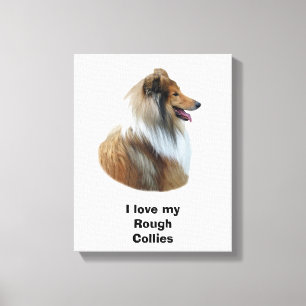 Rough Collie dog portrait photo Canvas Print