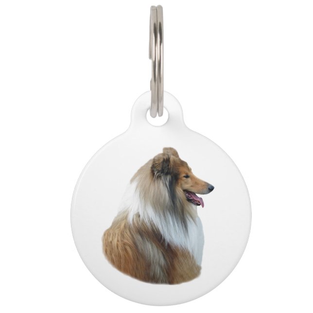 Rough Collie dog portrait photo Pet Tag (Front)
