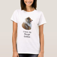 Rough Collie dog portrait photo