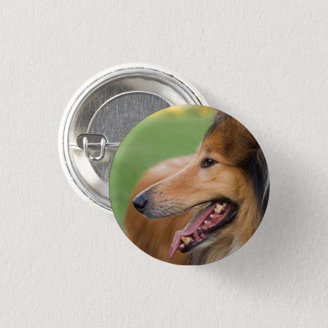Rough Collie Face 3 Cm Round Badge (Front & Back)