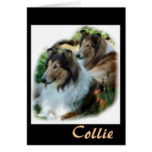 Rough Collie Gift of Art