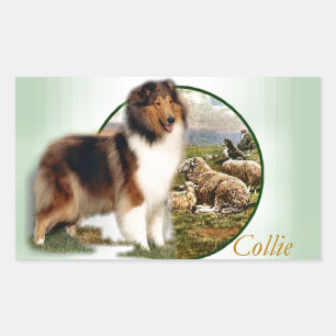 Rough Collie Keeper of the Sheep Rectangular Sticker