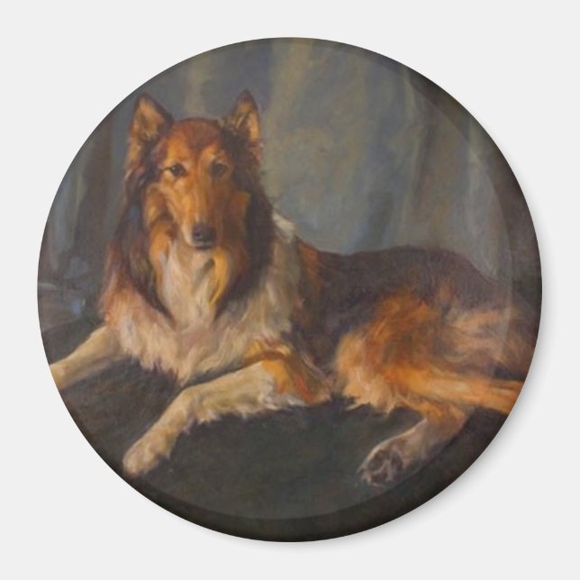 rough collie magnet (Front)